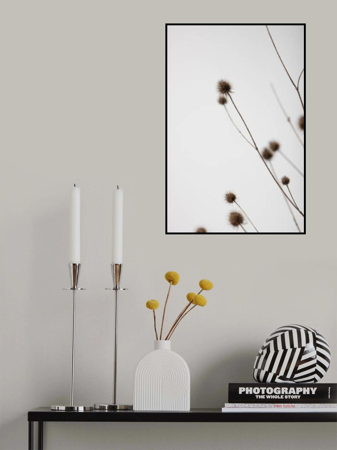 Thistle Grey 03 Poster och Canvastavla
