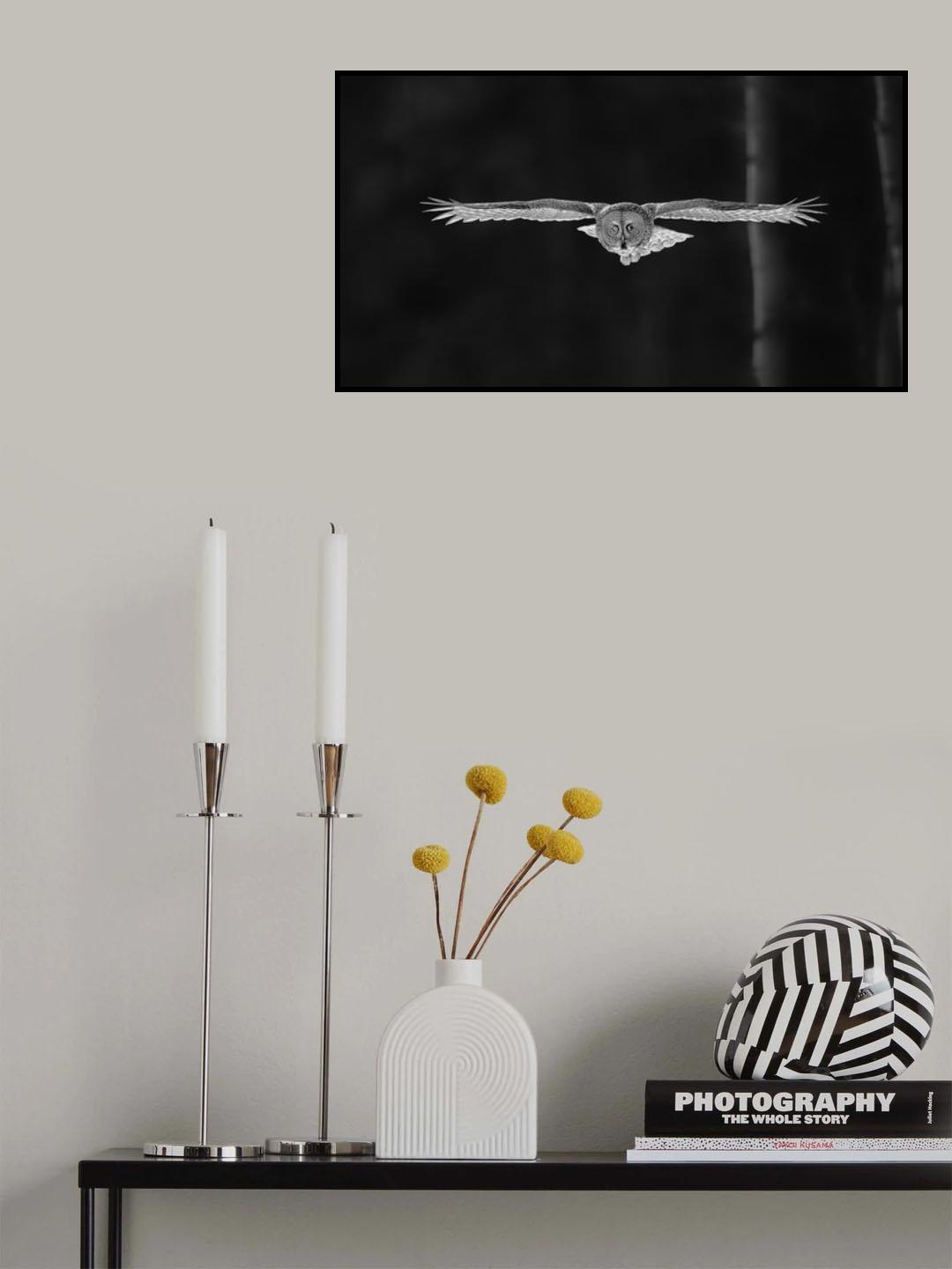Out Of The Woods Poster och Canvastavla