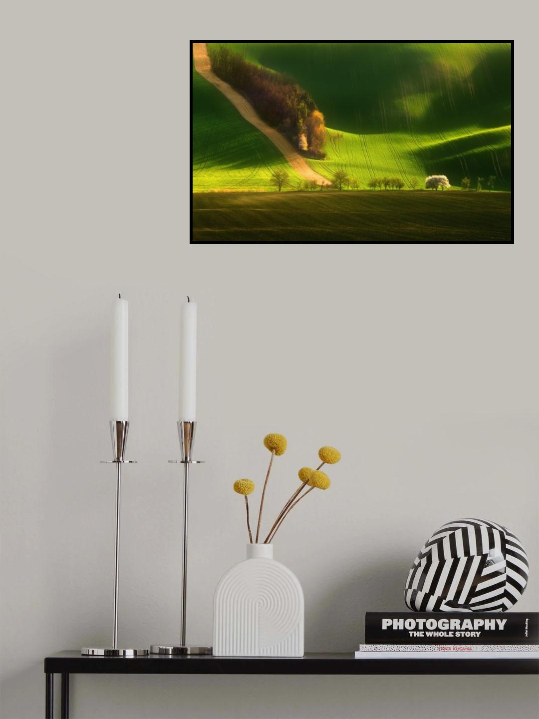 Spring on fields... Poster och Canvastavla