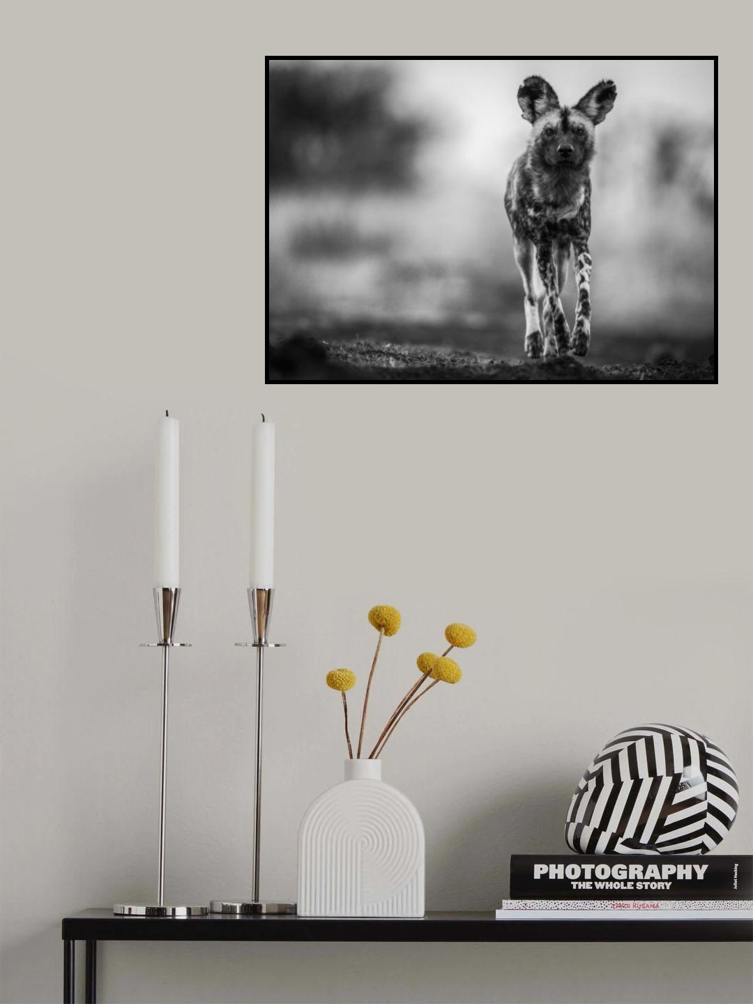 Monochrome Wild Dog Poster och Canvastavla