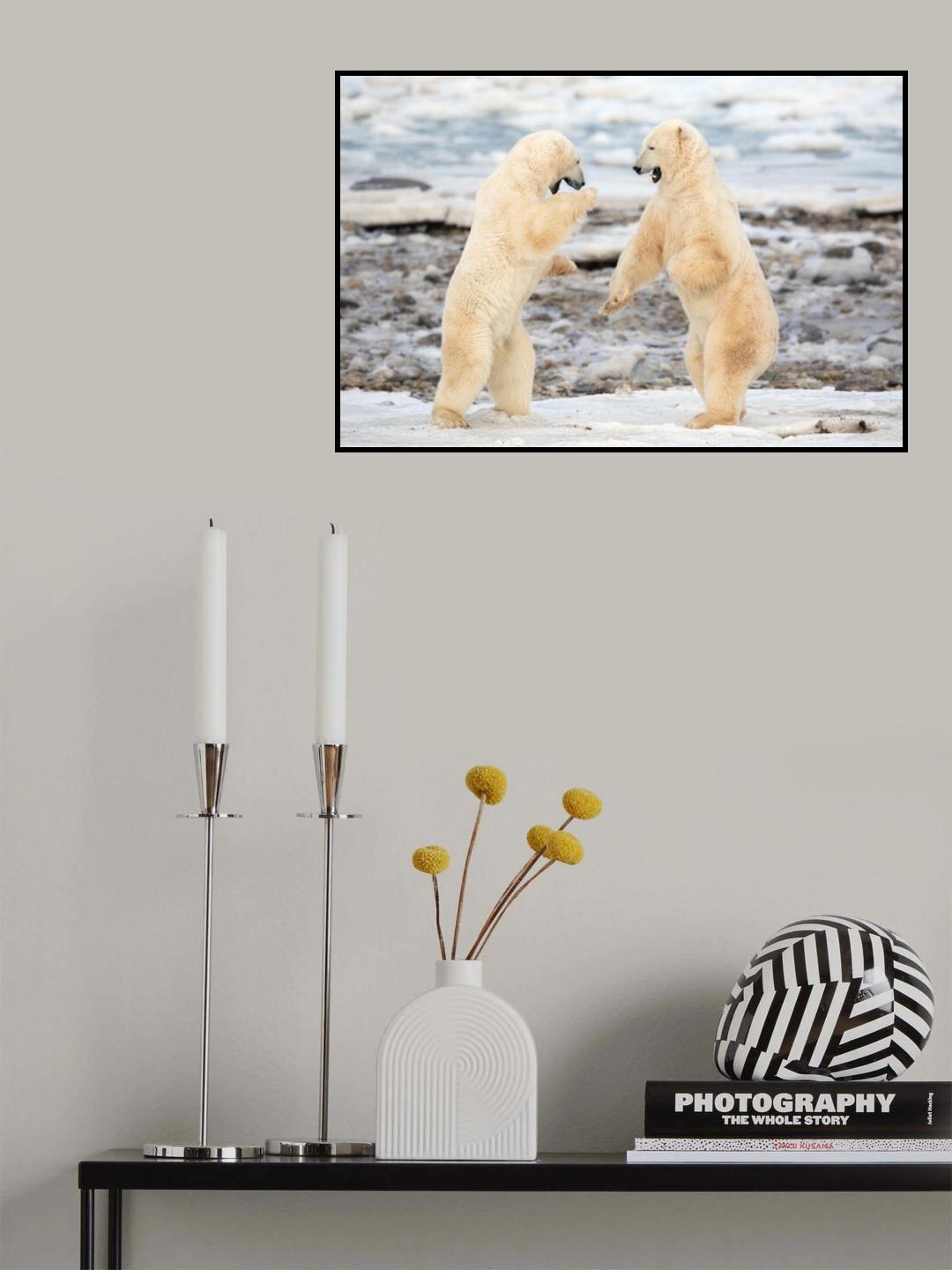 Fight ! Poster och Canvastavla