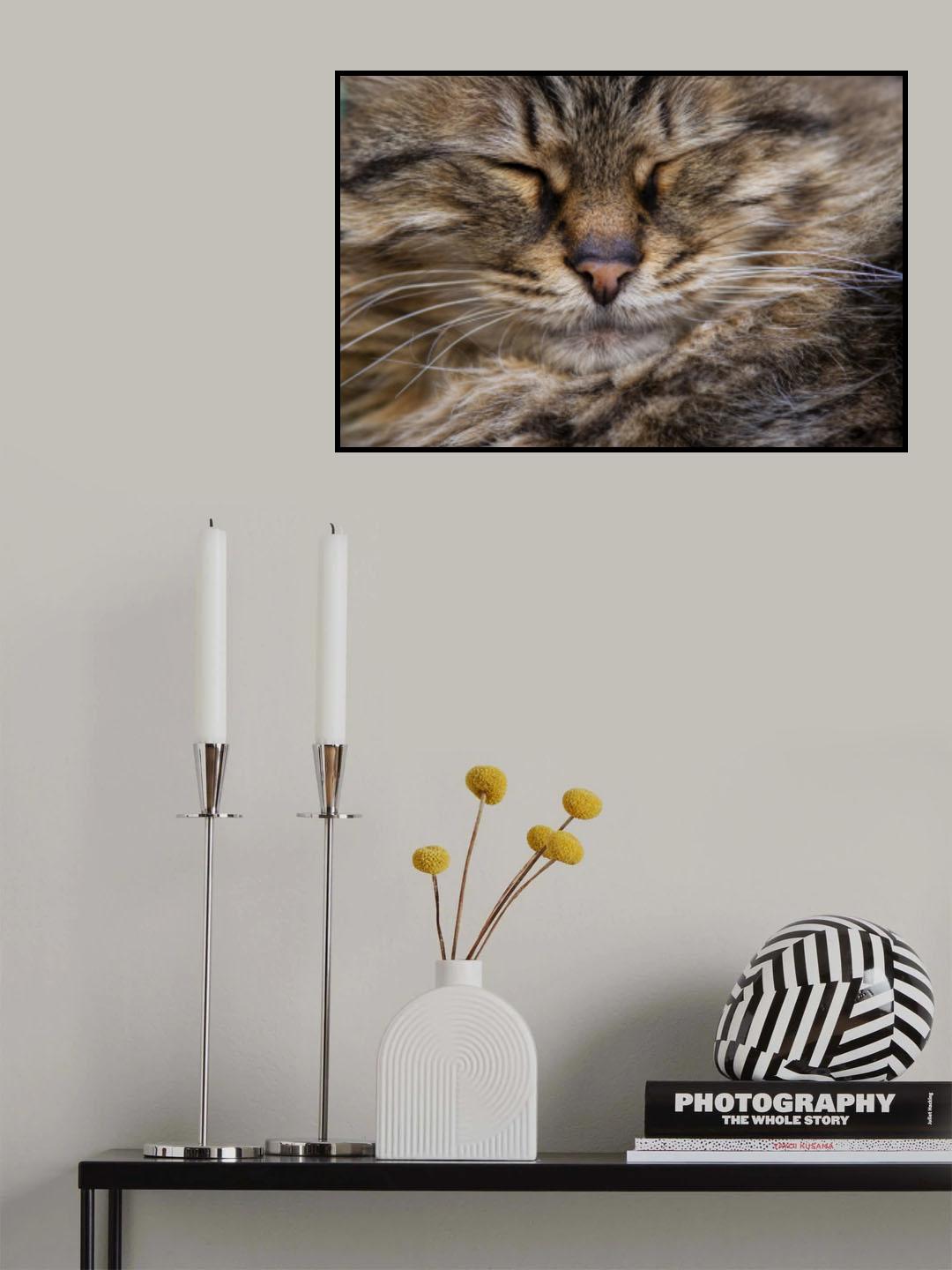 cute cat Poster och Canvastavla
