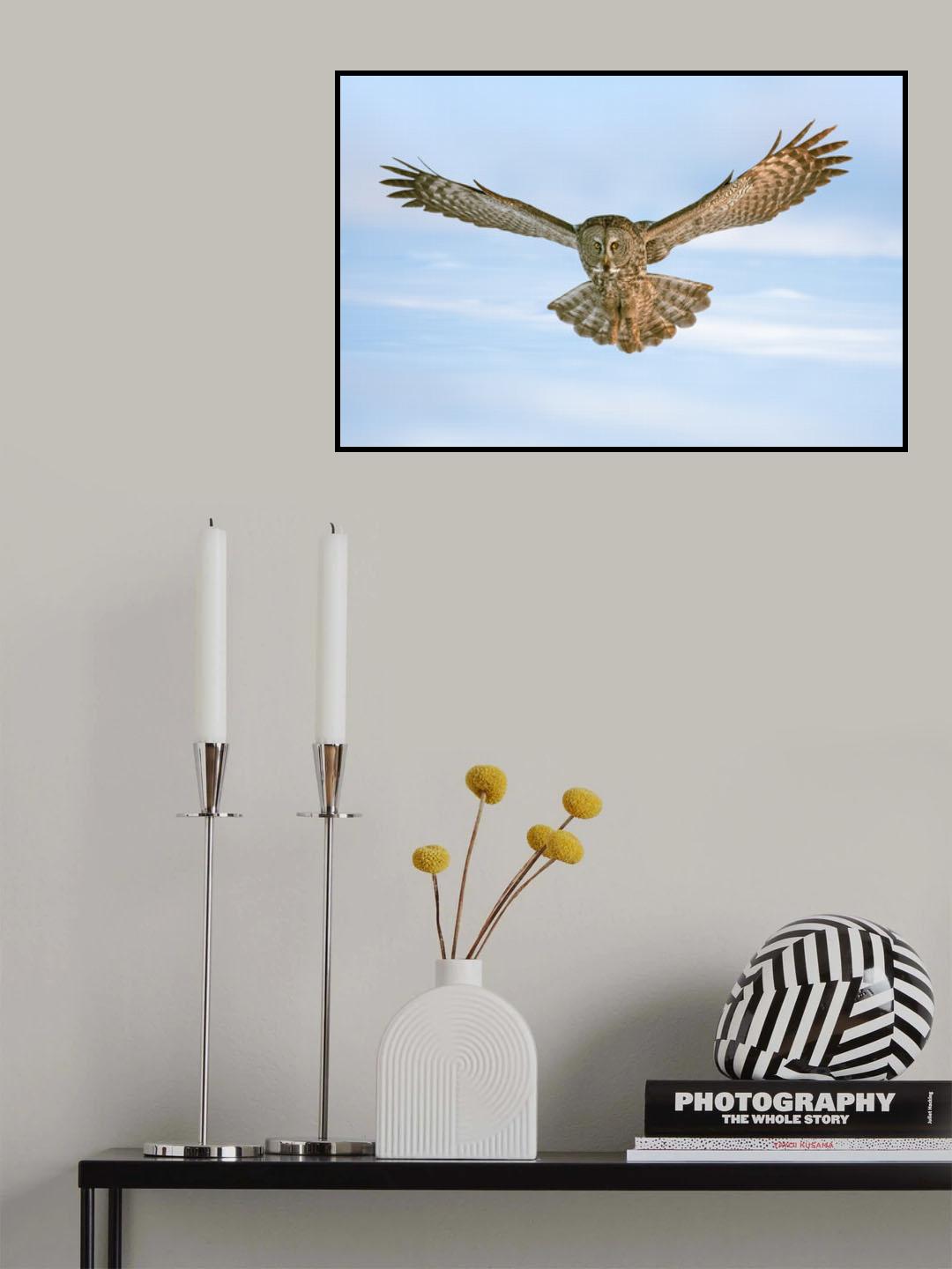 Landing Poster och Canvastavla