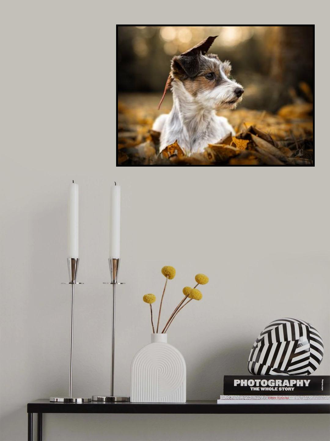 my little dog Poster och Canvastavla
