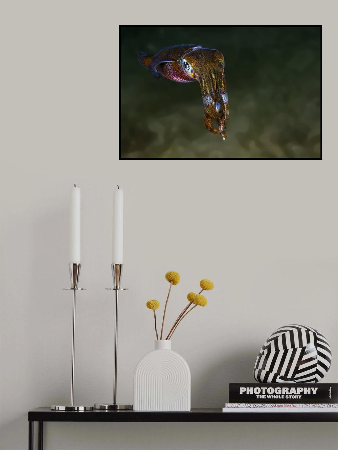 Squid Poster och Canvastavla