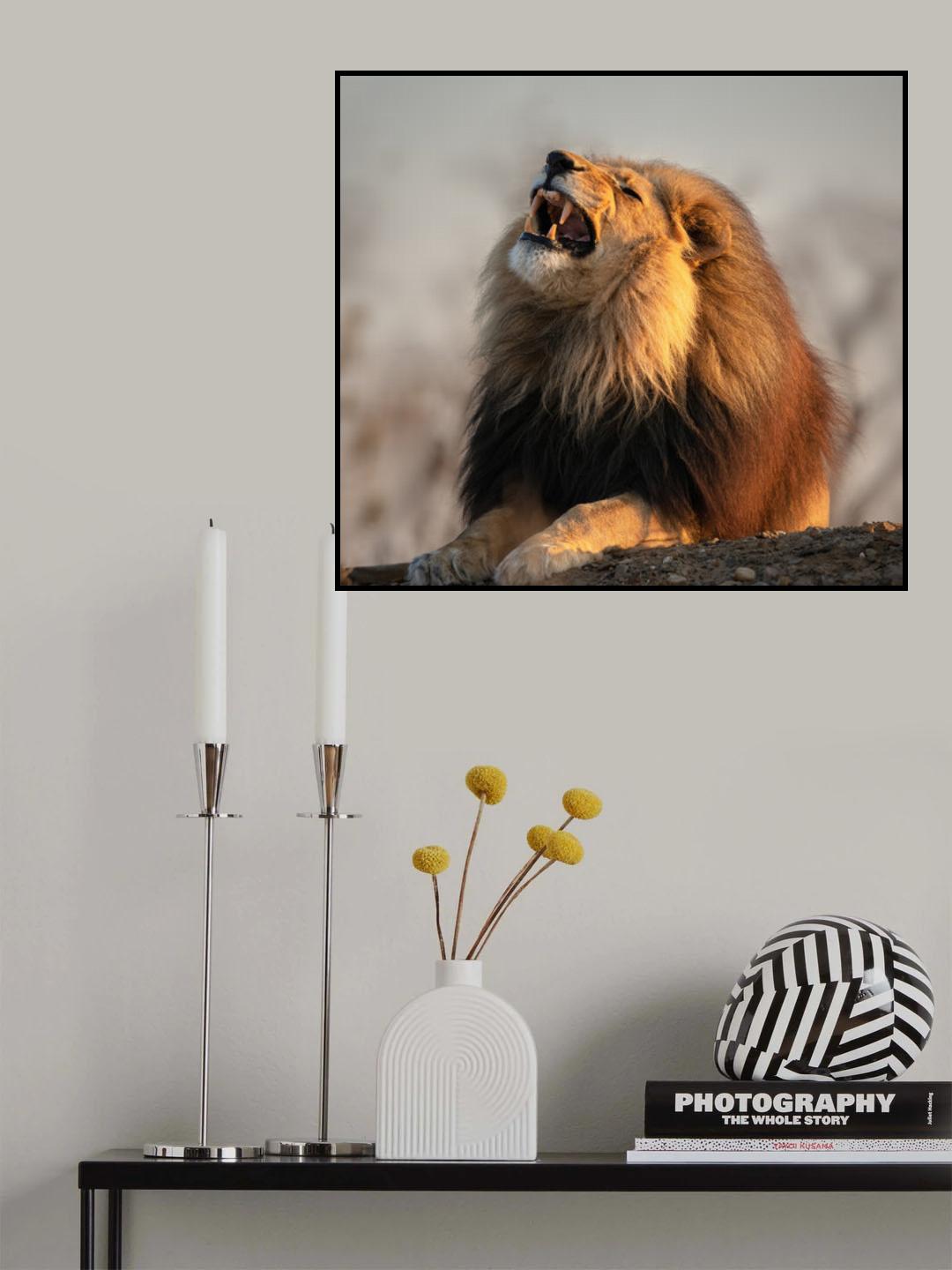 Morning Roar Poster och Canvastavla