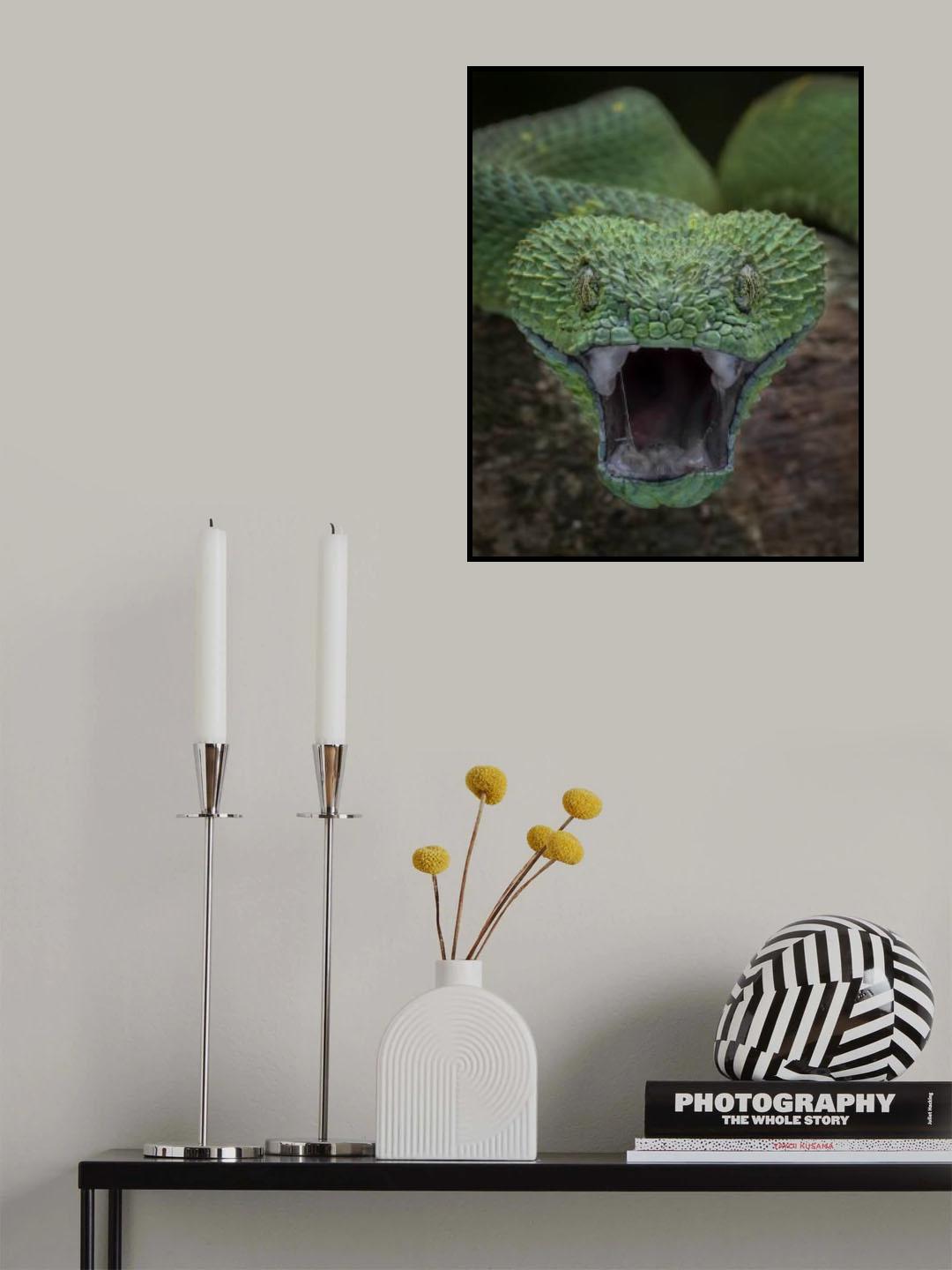 Angry Poster och Canvastavla