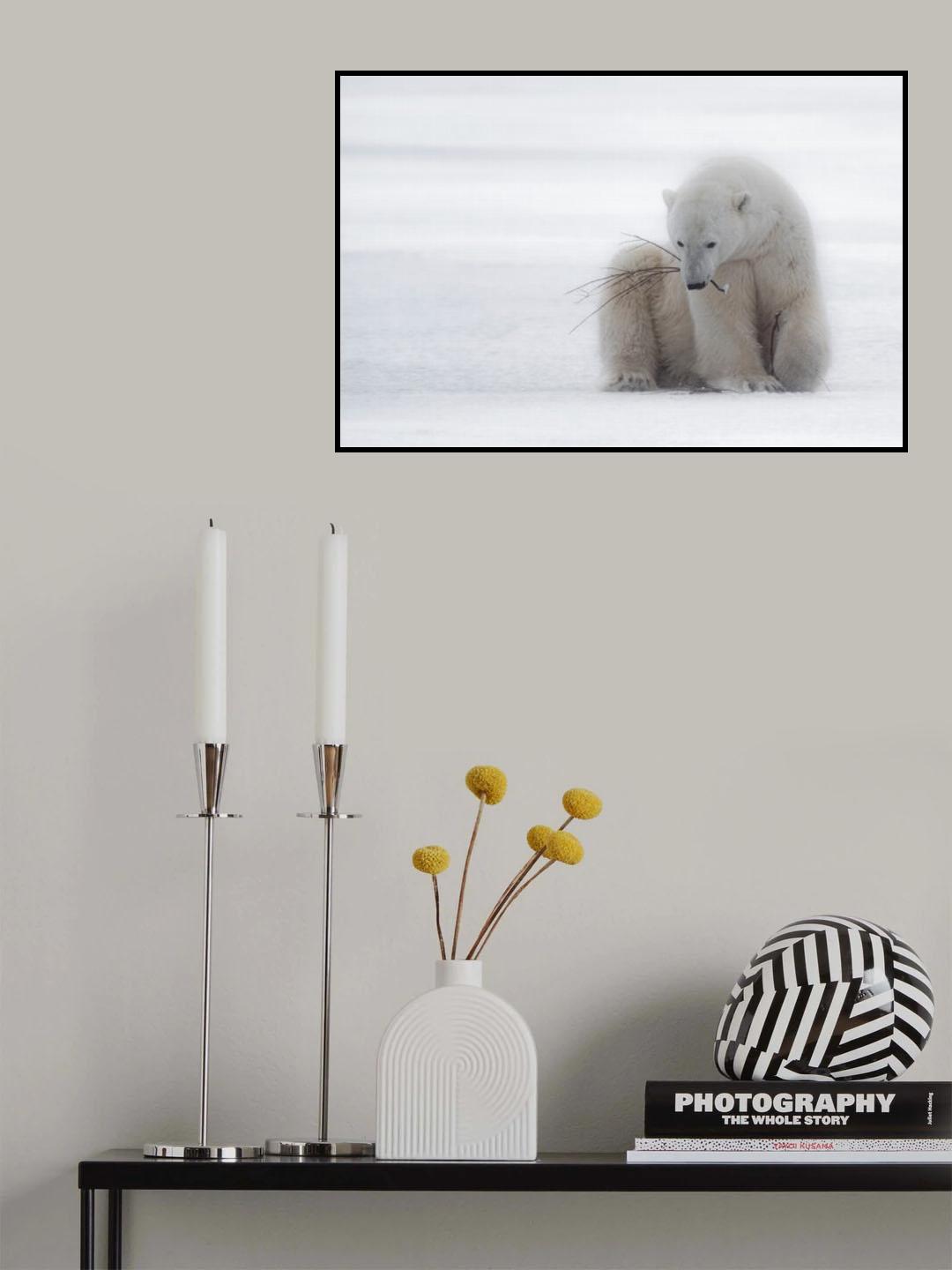 Playing with a Branch Poster och Canvastavla
