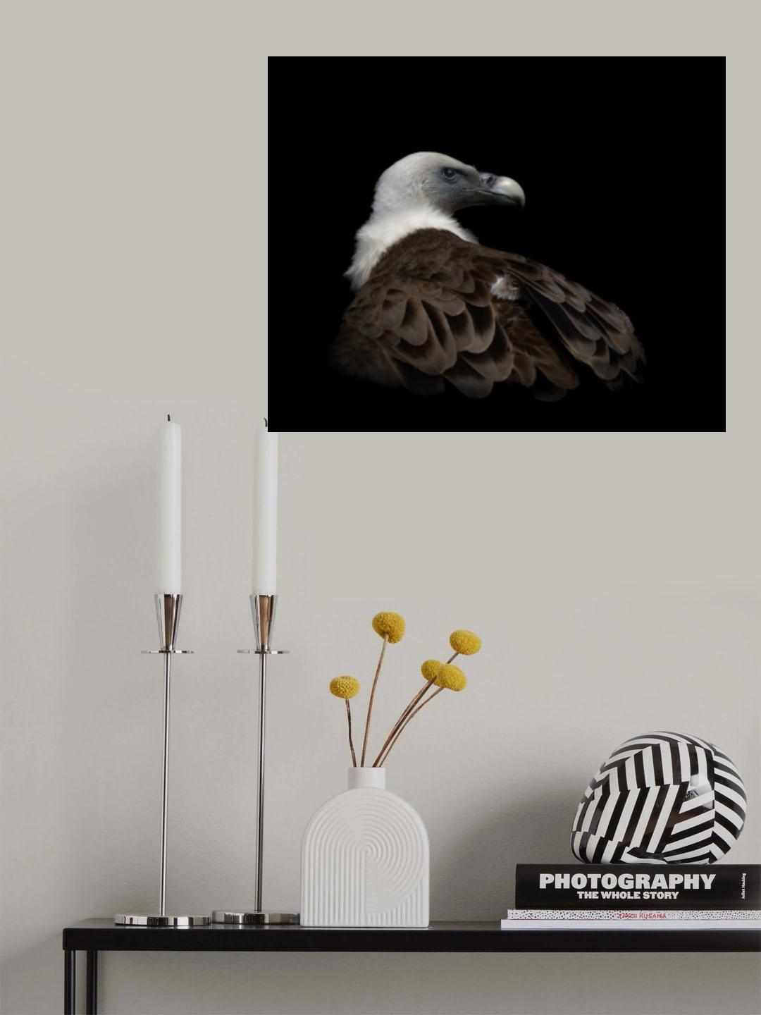 'Winking with his nictitating membrane' Poster och Canvastavla