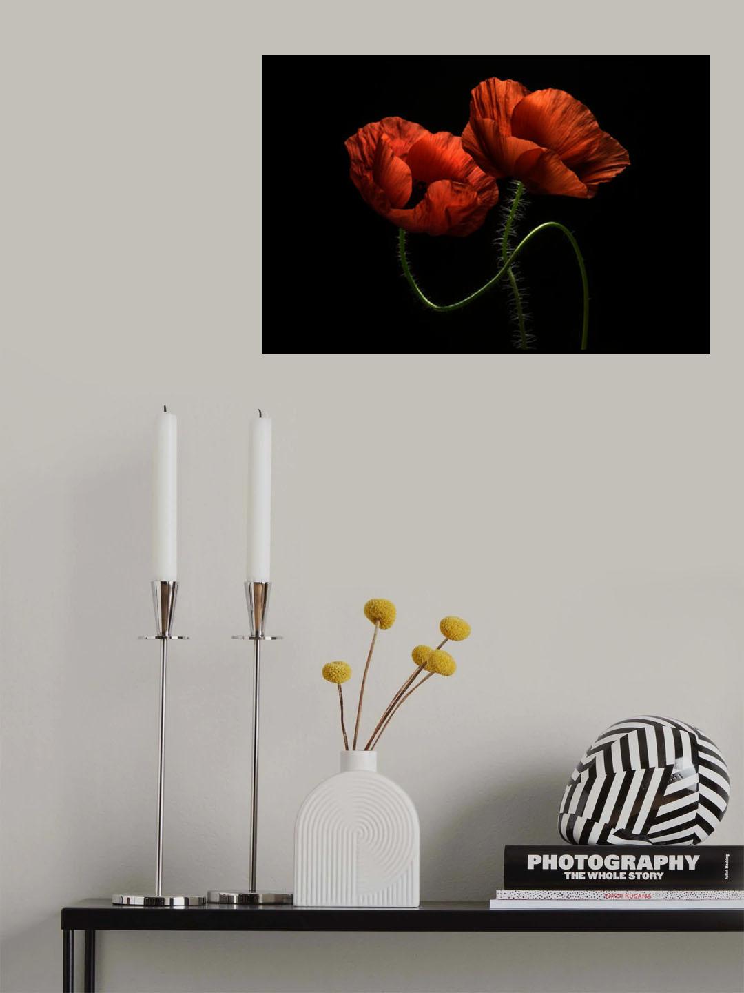 Around Midnight Poster och Canvastavla