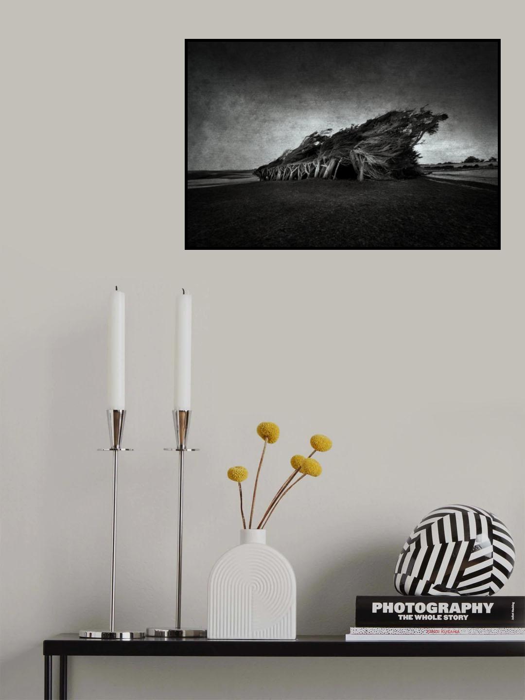 Wind blown Poster och Canvastavla