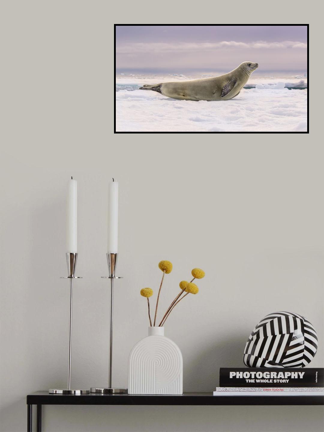 Hello Poster och Canvastavla