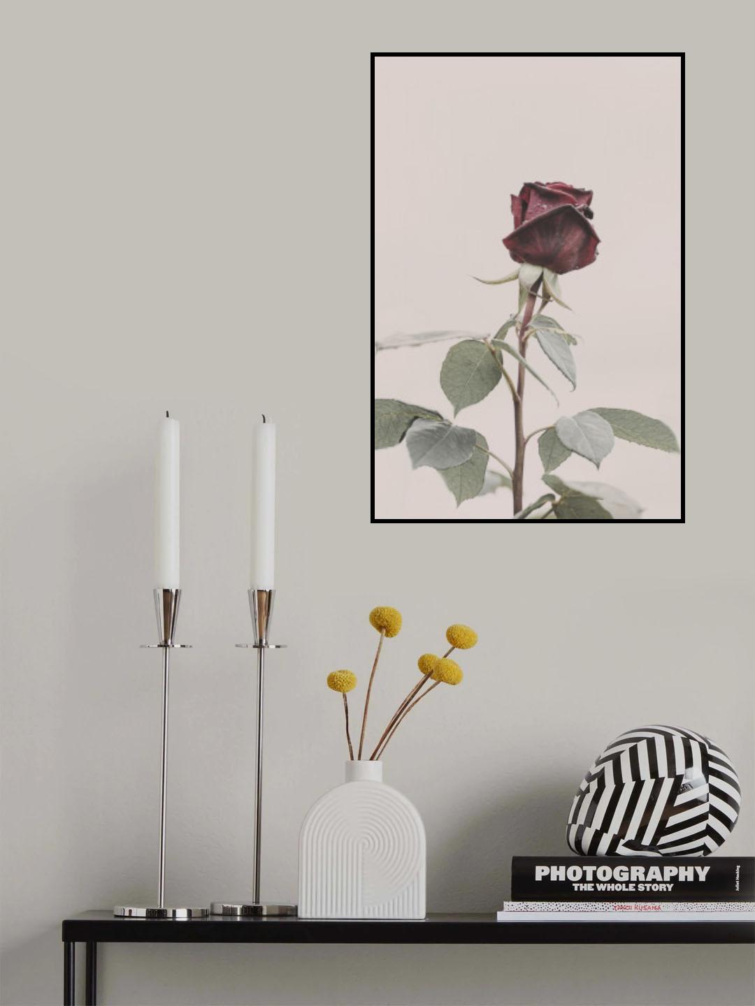 Rose Poster och Canvastavla