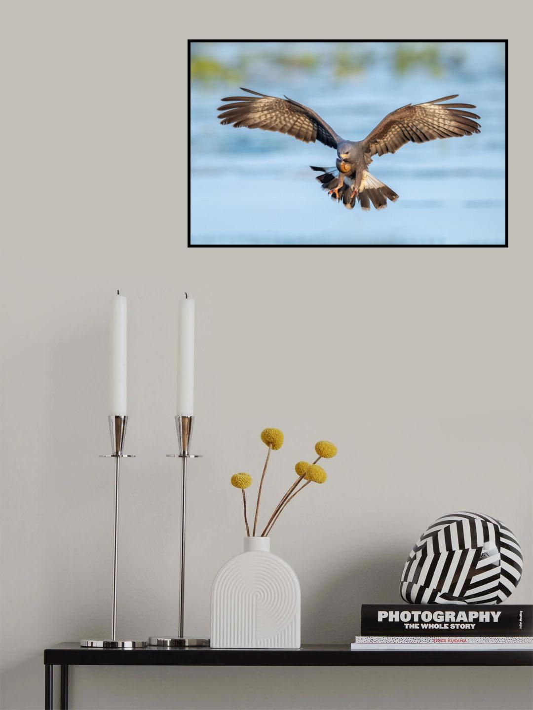 Focus Poster och Canvastavla