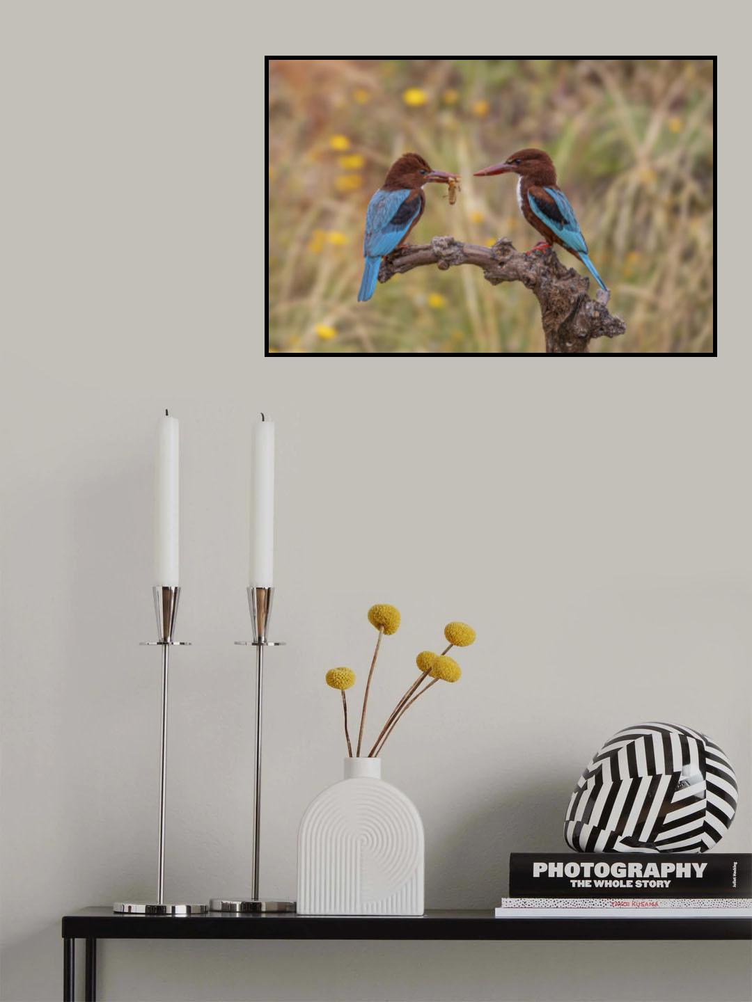 kingfisher Poster och Canvastavla