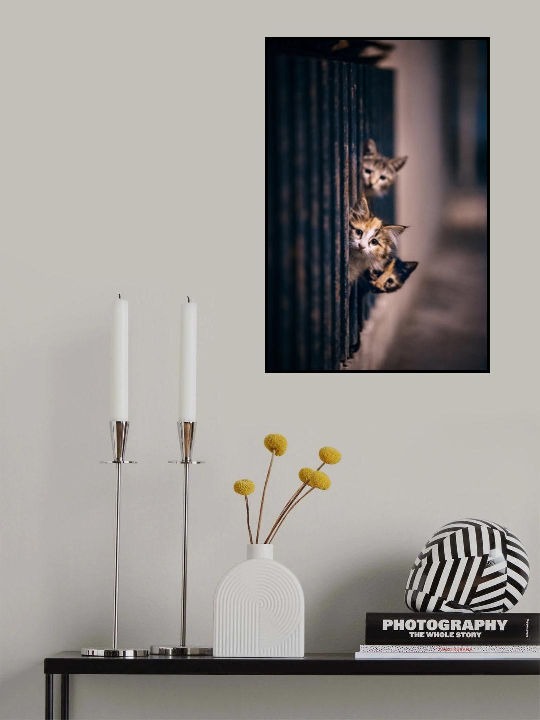 Did some one meow..?! Poster och Canvastavla