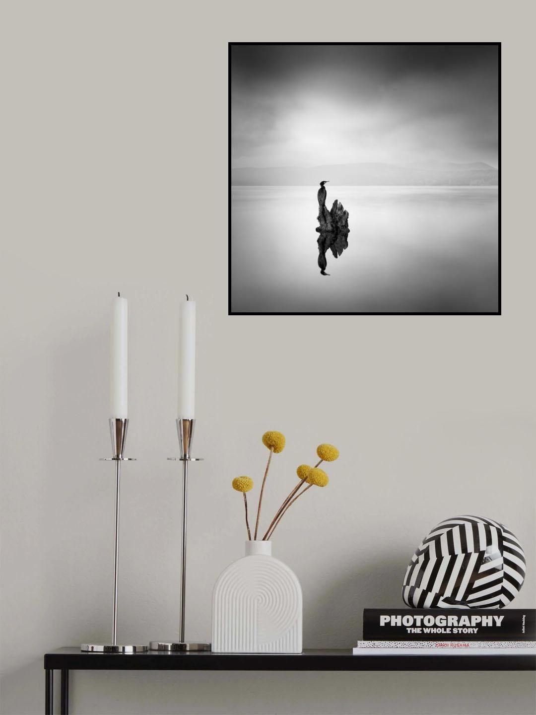 Cormorant 02 Poster och Canvastavla