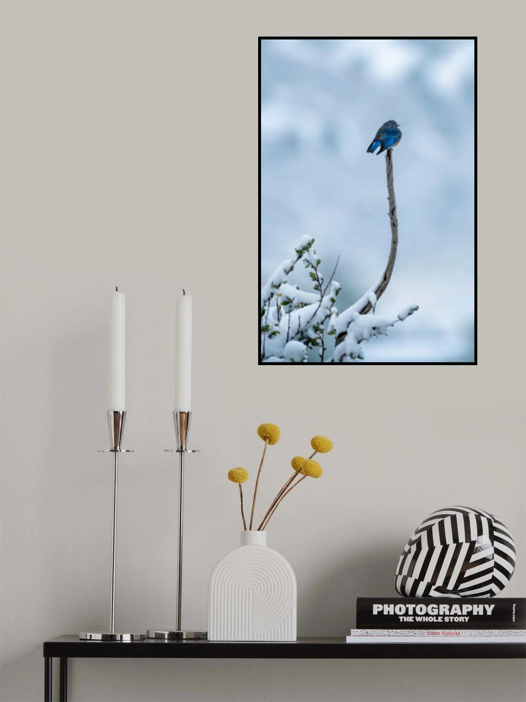 Bird in Snow Day Poster och Canvastavla