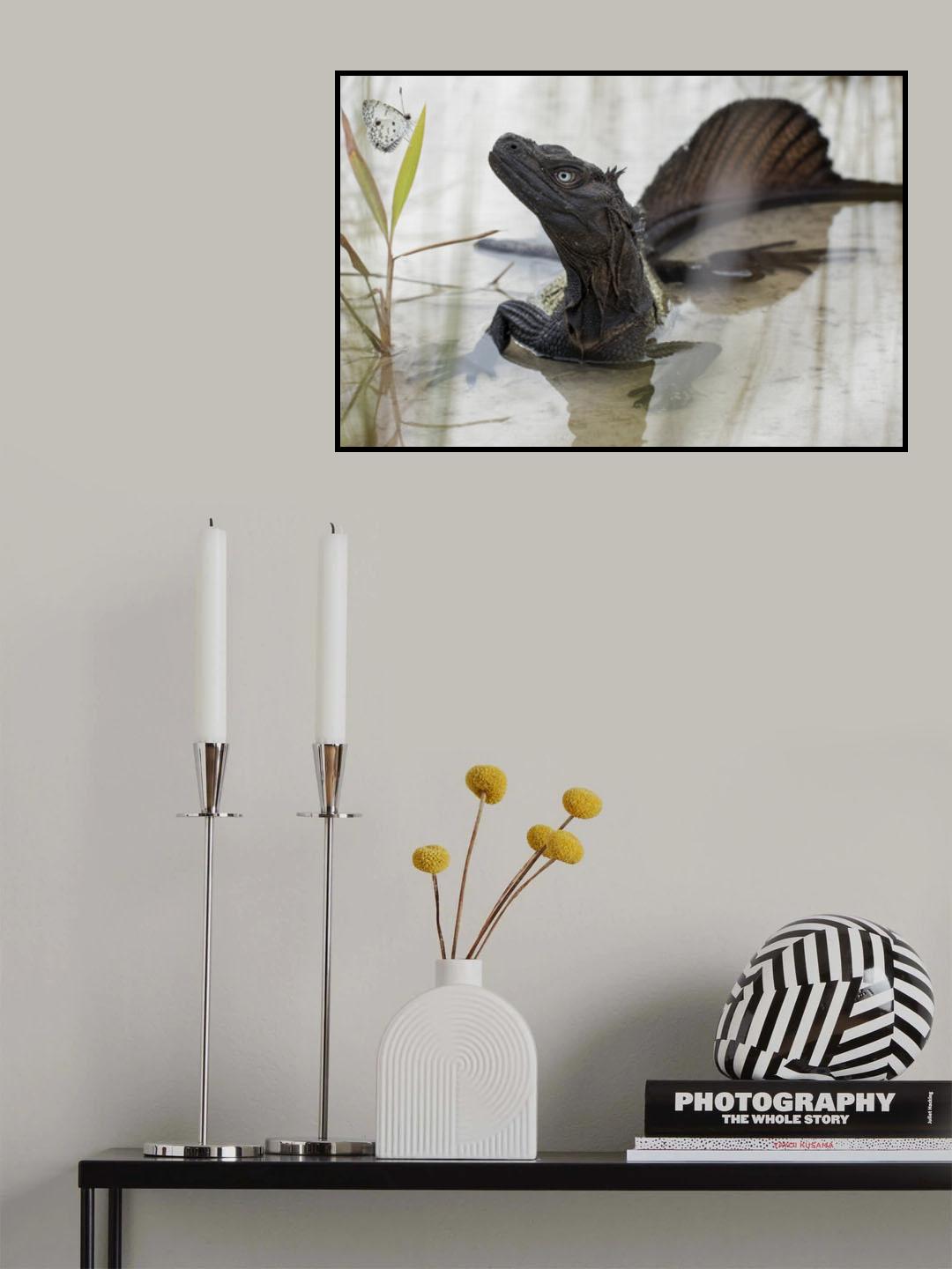 Poster och Canvastavla