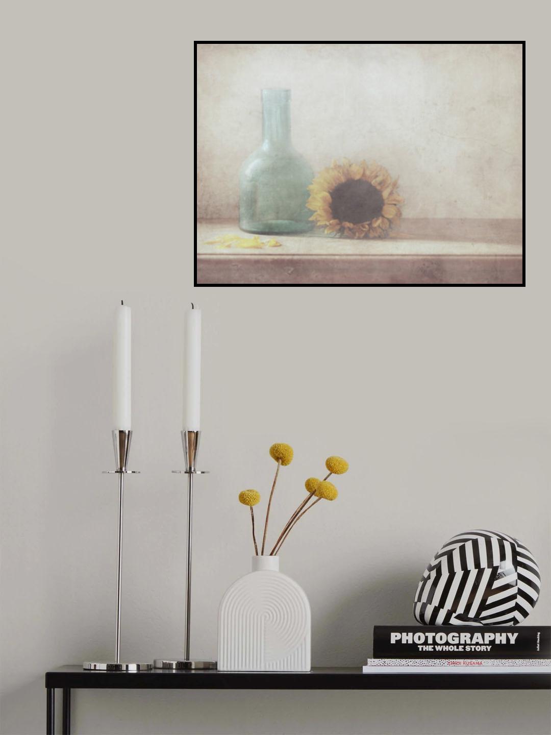 Sunflower Poster och Canvastavla