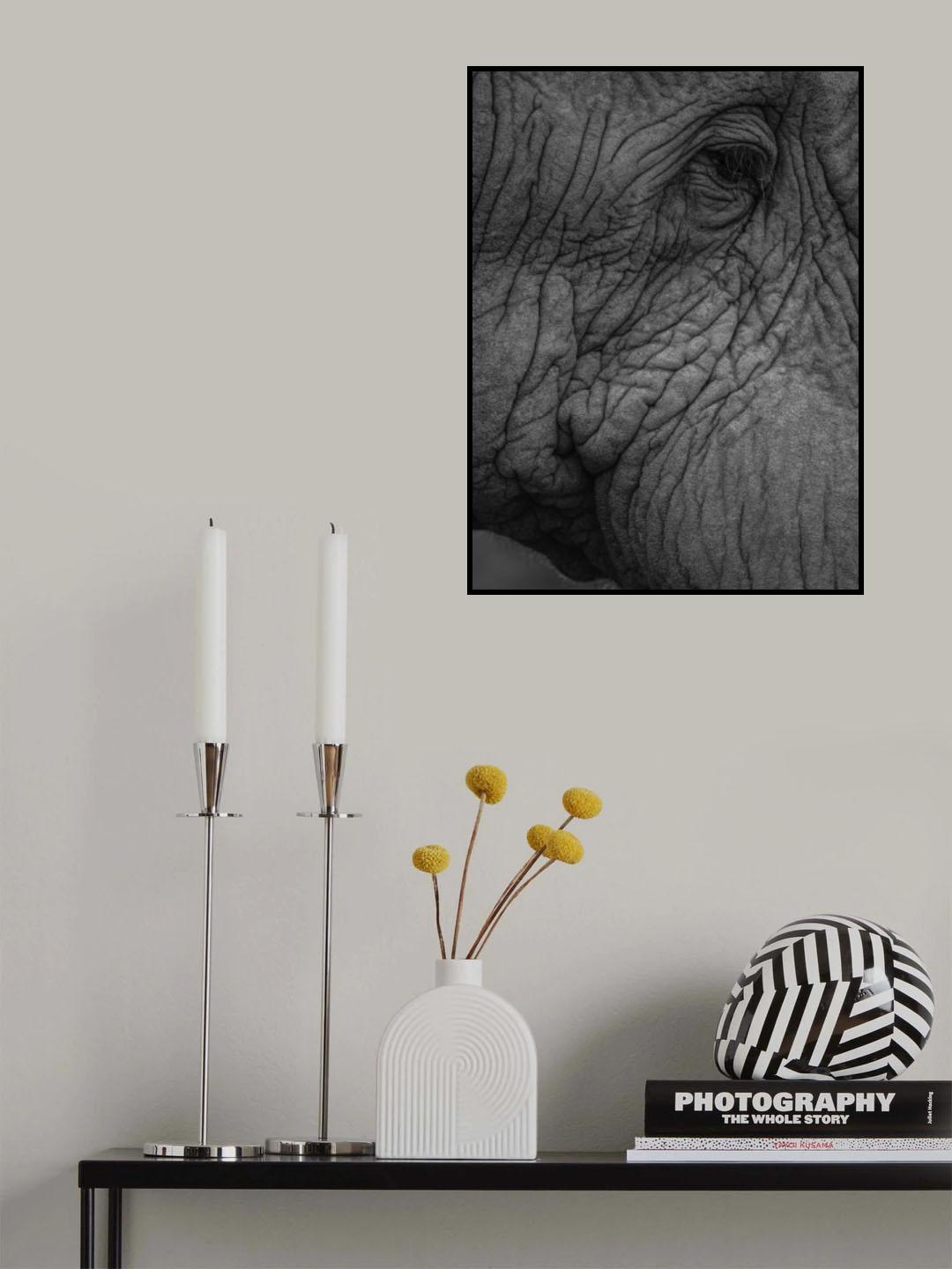 Olifant 01 Poster och Canvastavla