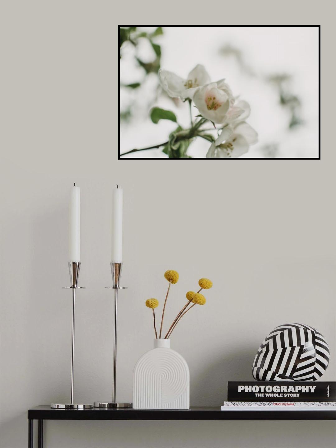 Spring Series - Apple Blossoms in the Rain 12/12 Poster och Canvastavla