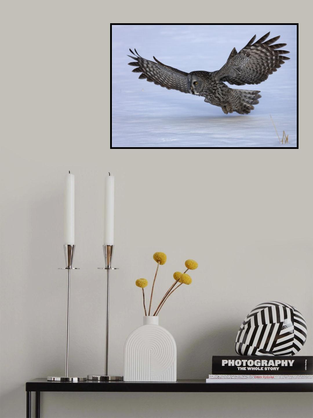 Stay Low Poster och Canvastavla