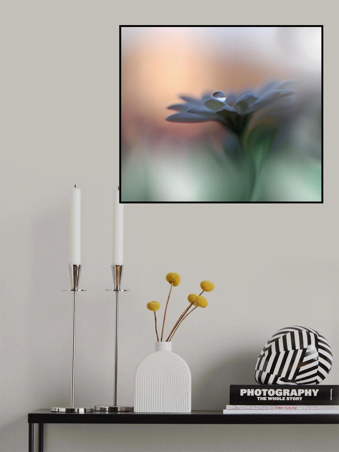 Eyes of the Light Poster och Canvastavla