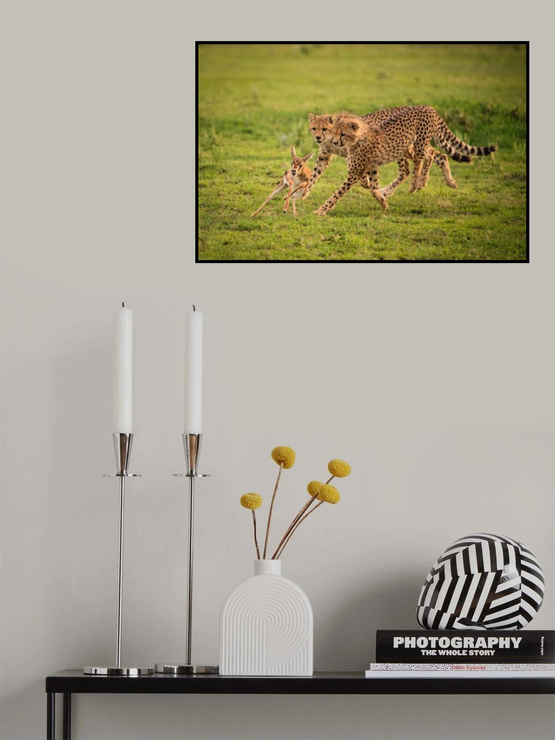 The chase Poster och Canvastavla