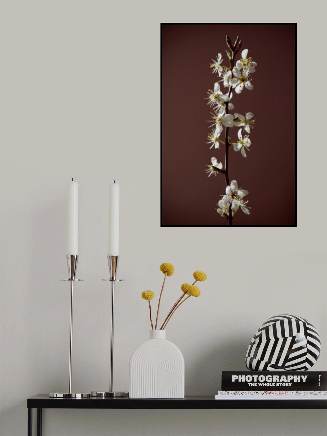 Spring branch Poster och Canvastavla