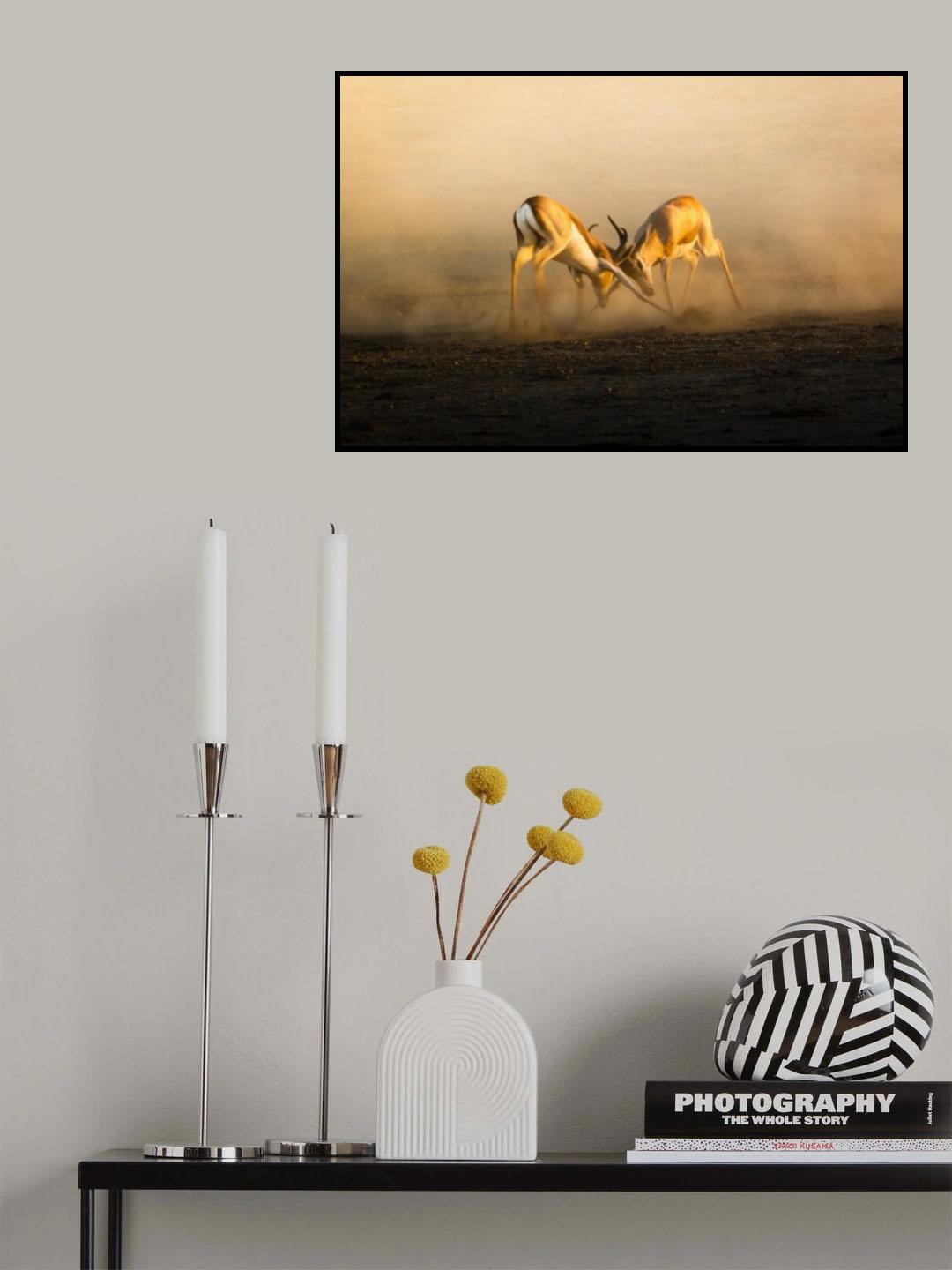 Rams in battle Poster och Canvastavla