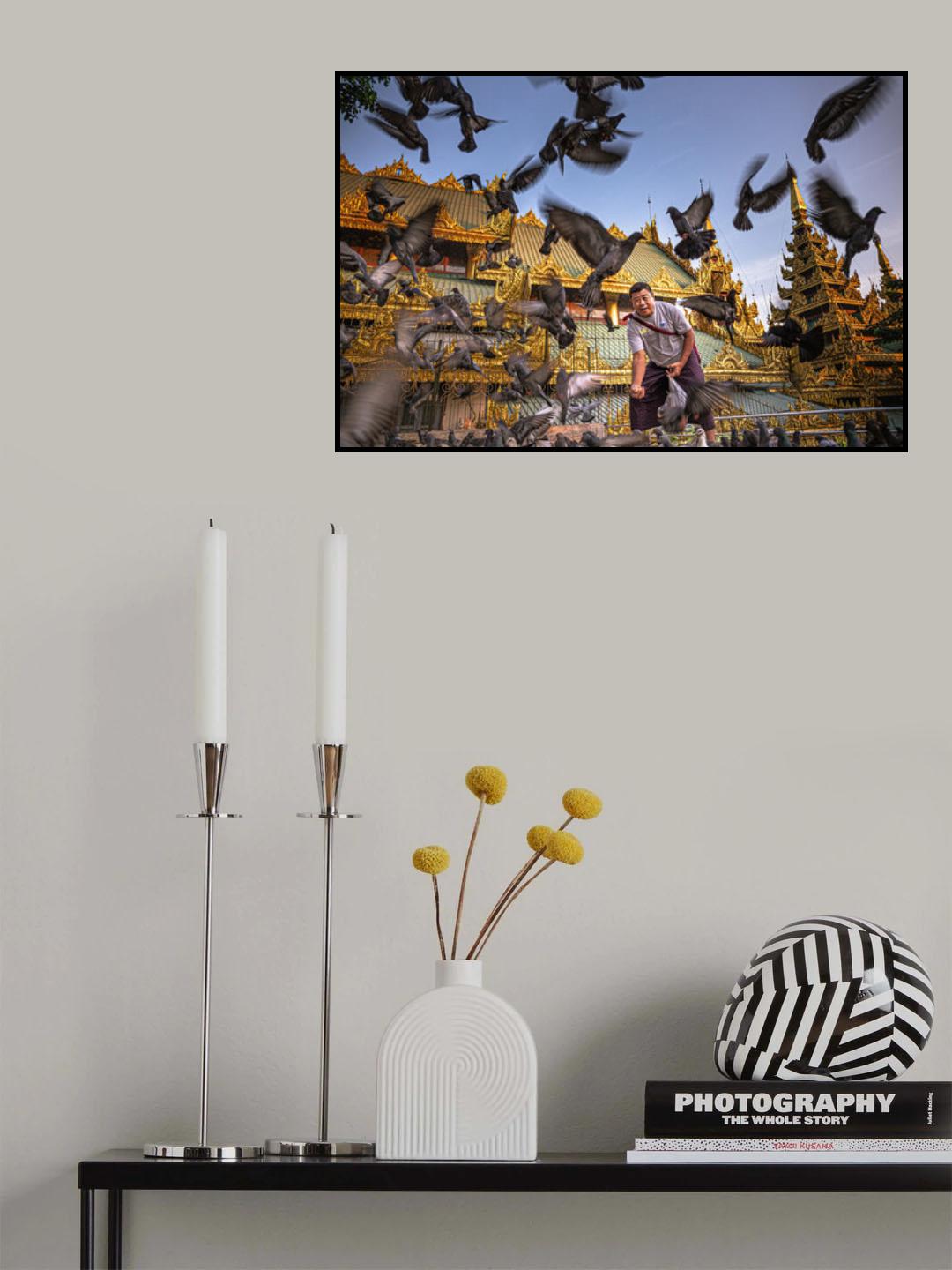 Pigeons' Friend Poster och Canvastavla