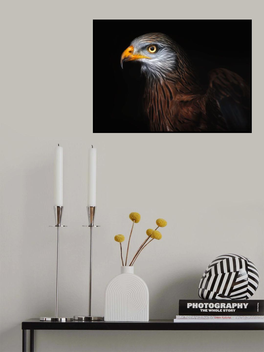 Red kite portrait II Poster och Canvastavla