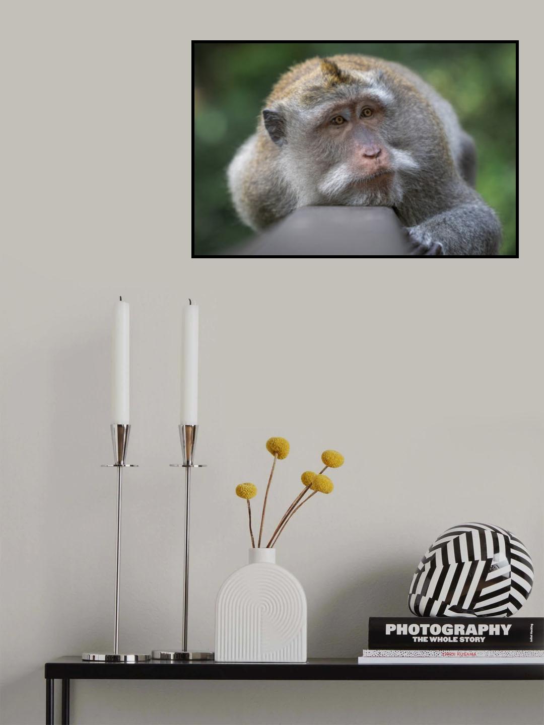Moony Poster och Canvastavla