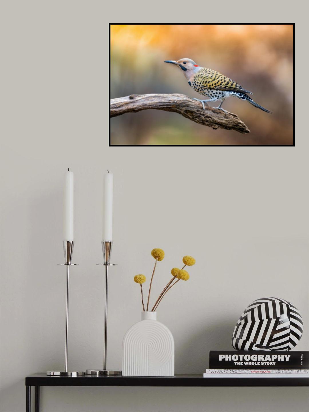Flicker Poster och Canvastavla