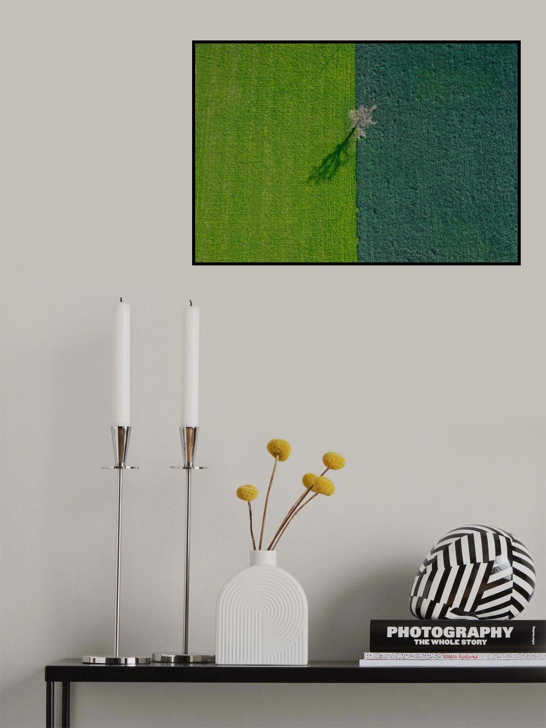 Single Poster och Canvastavla