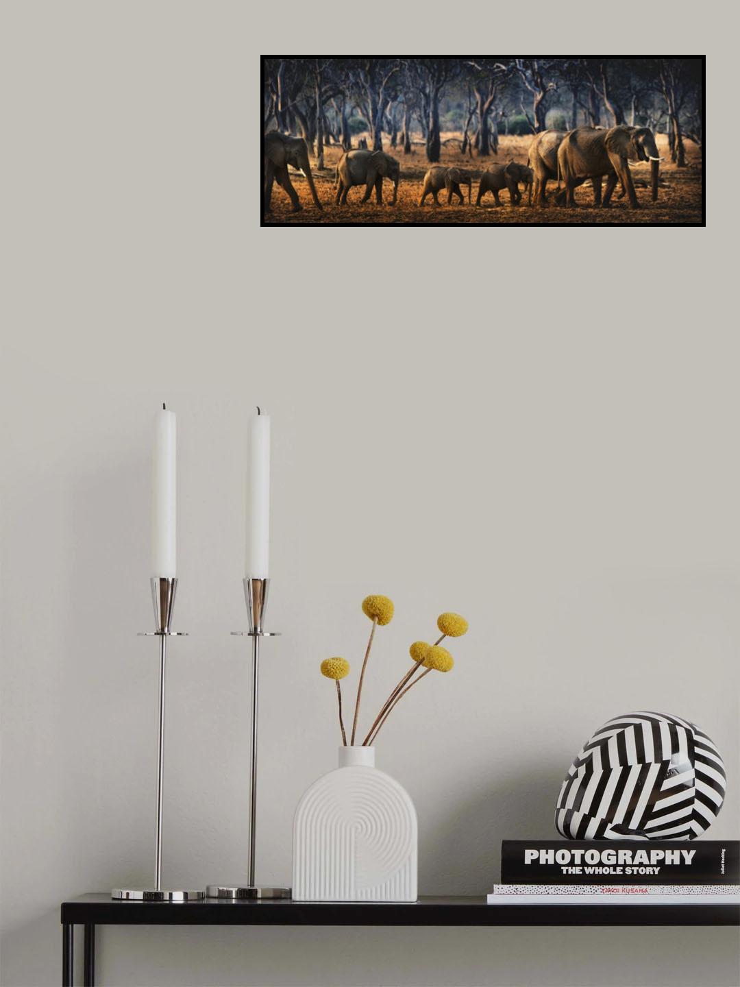 Poster och Canvastavla