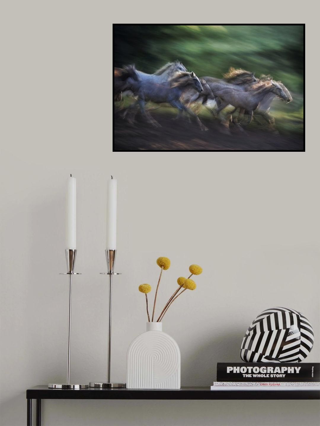 horse drill Poster och Canvastavla