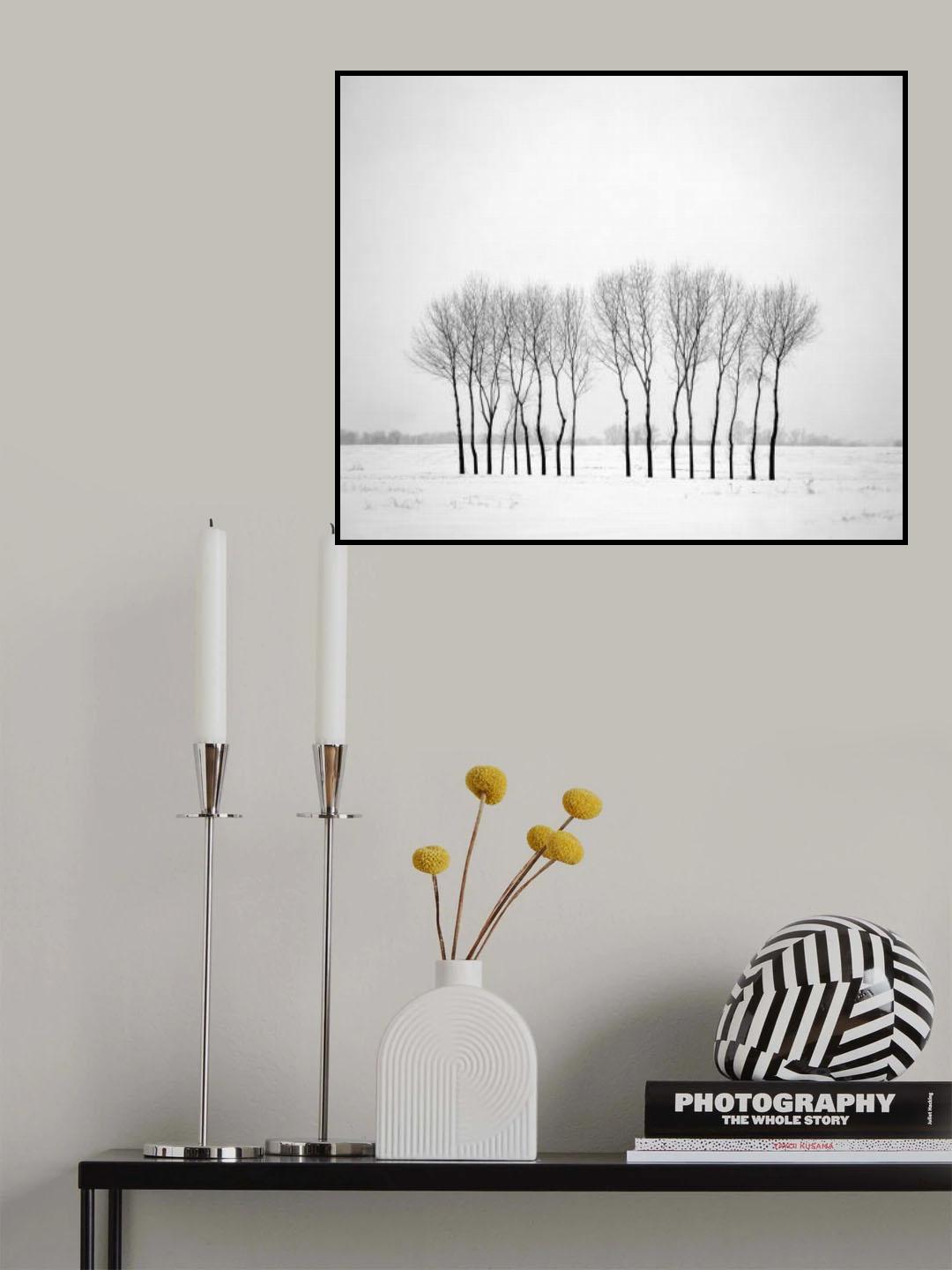 Winter landscape with trees Poster och Canvastavla