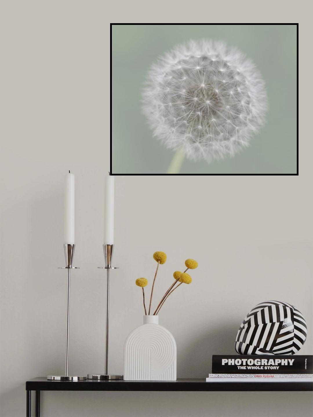 Dandelion Seedball Poster och Canvastavla