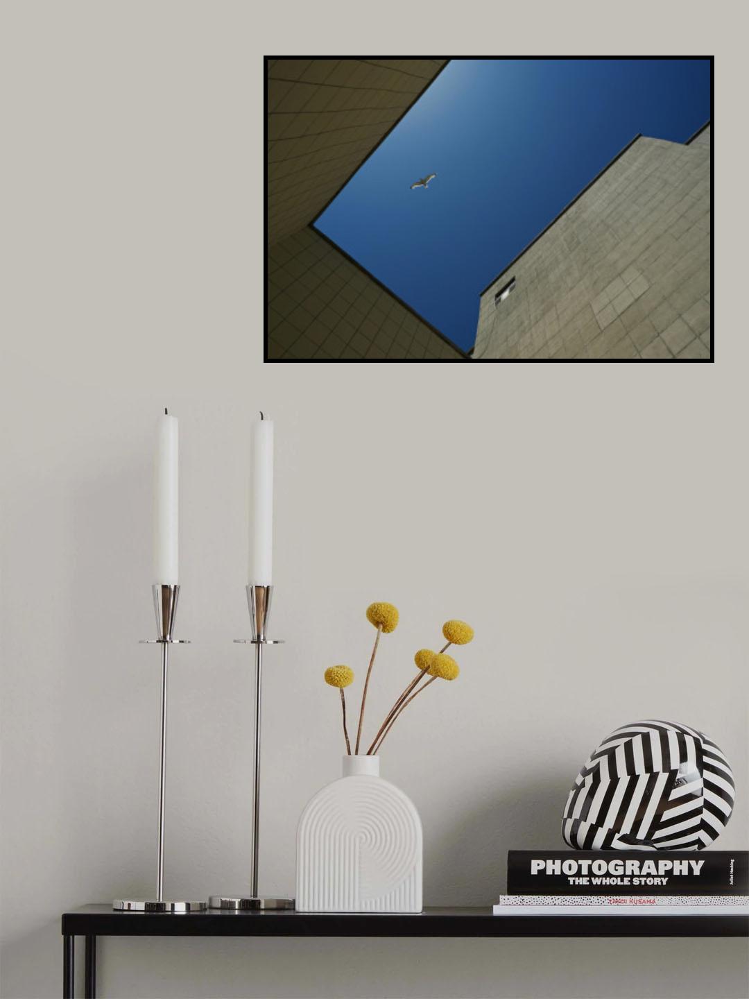 Seagull Poster och Canvastavla