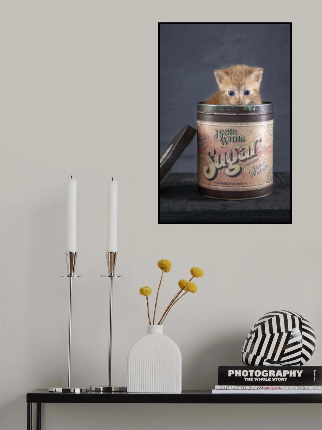 Chip Poster och Canvastavla