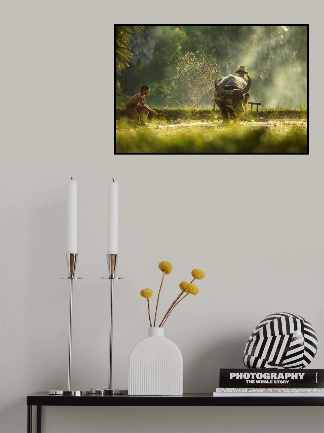 Thailand farmers Poster och Canvastavla