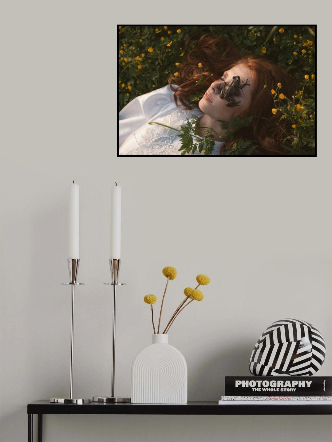 * Poster och Canvastavla