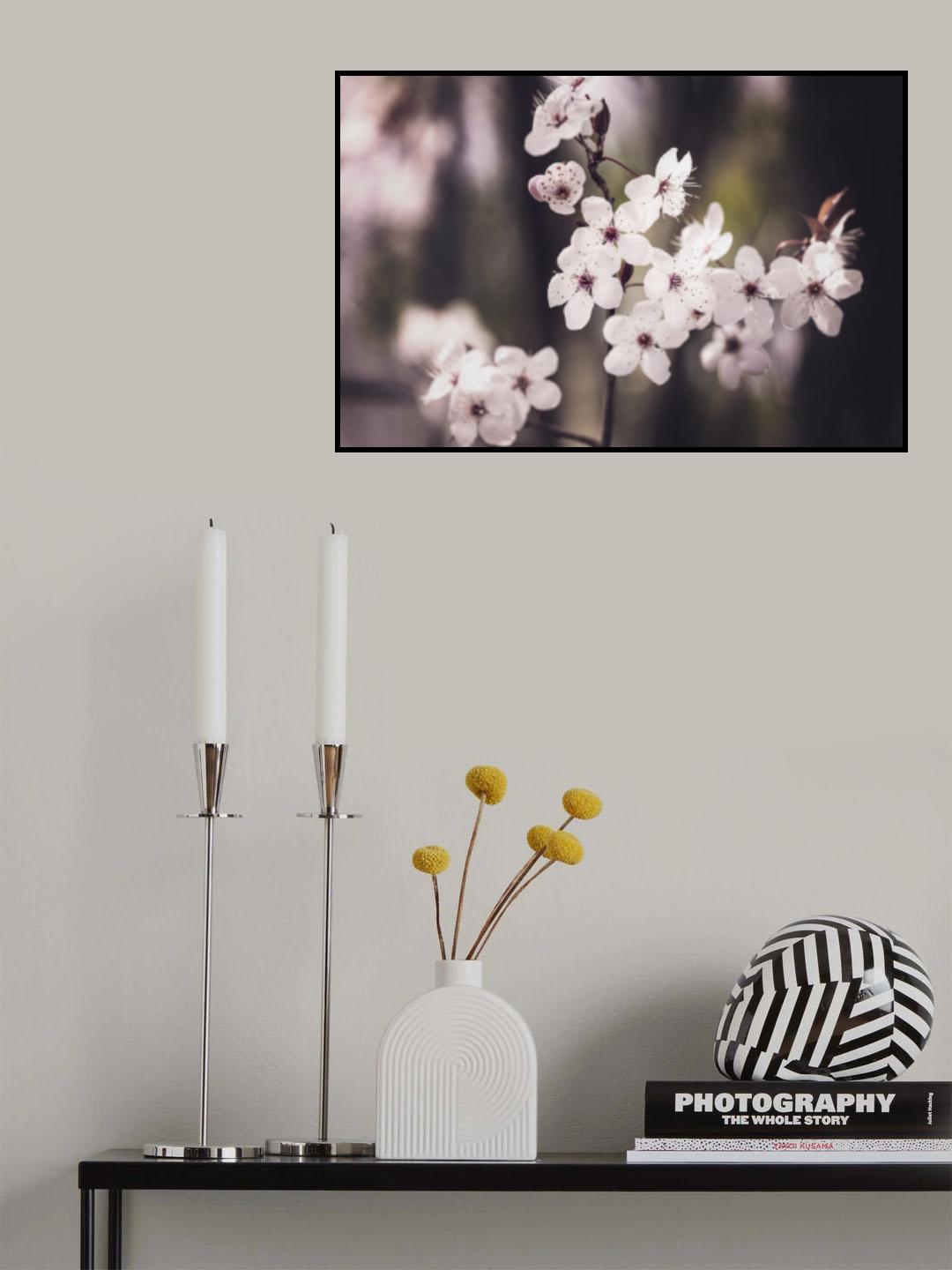 Blossoms Poster och Canvastavla