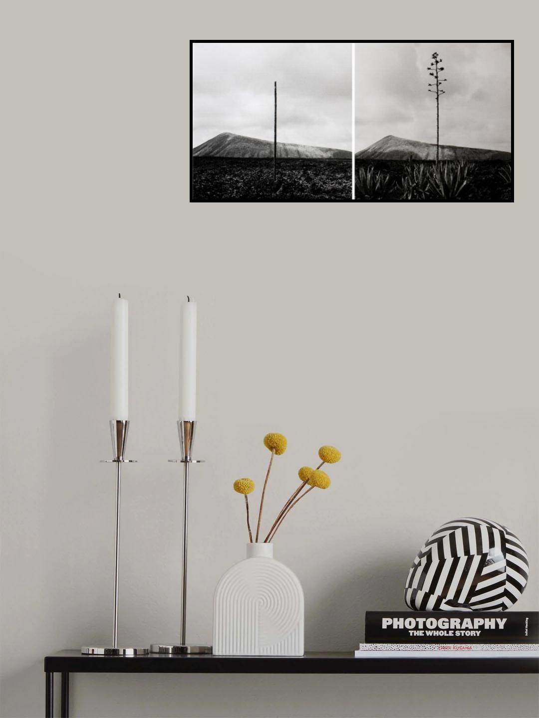 Montañas del fuego Poster och Canvastavla