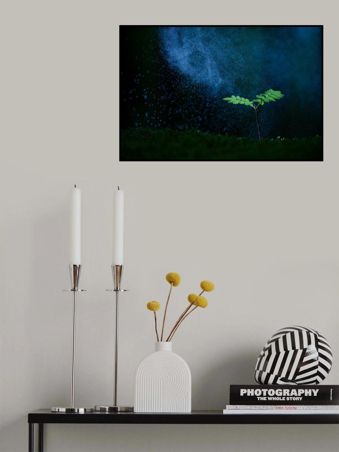 A light in the dark Poster och Canvastavla