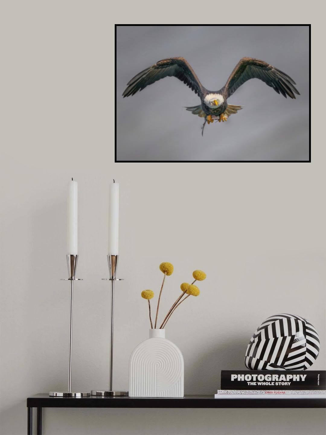Three eyes Poster och Canvastavla
