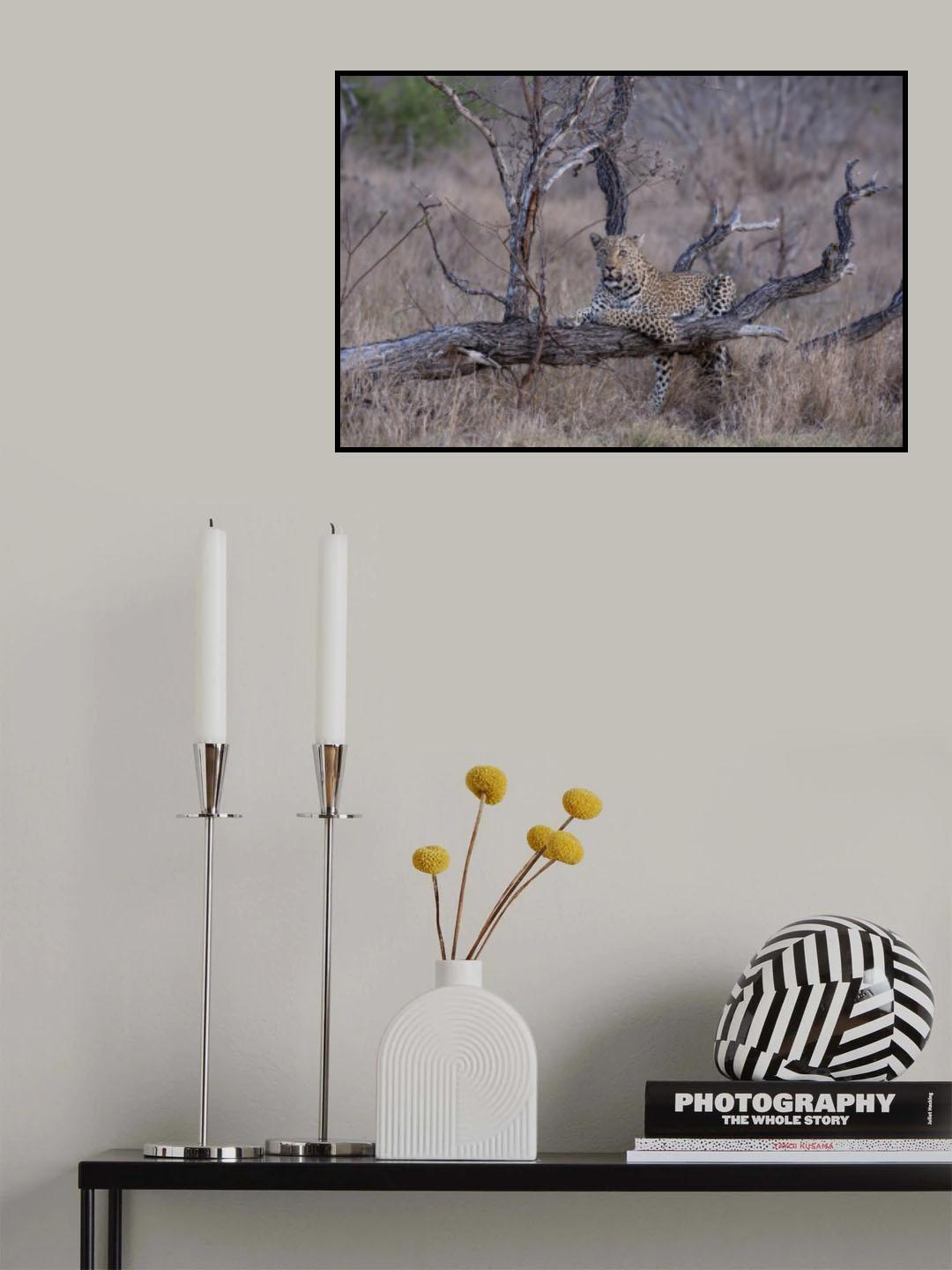 Taking a Rest After the Chase for Dinner Poster och Canvastavla