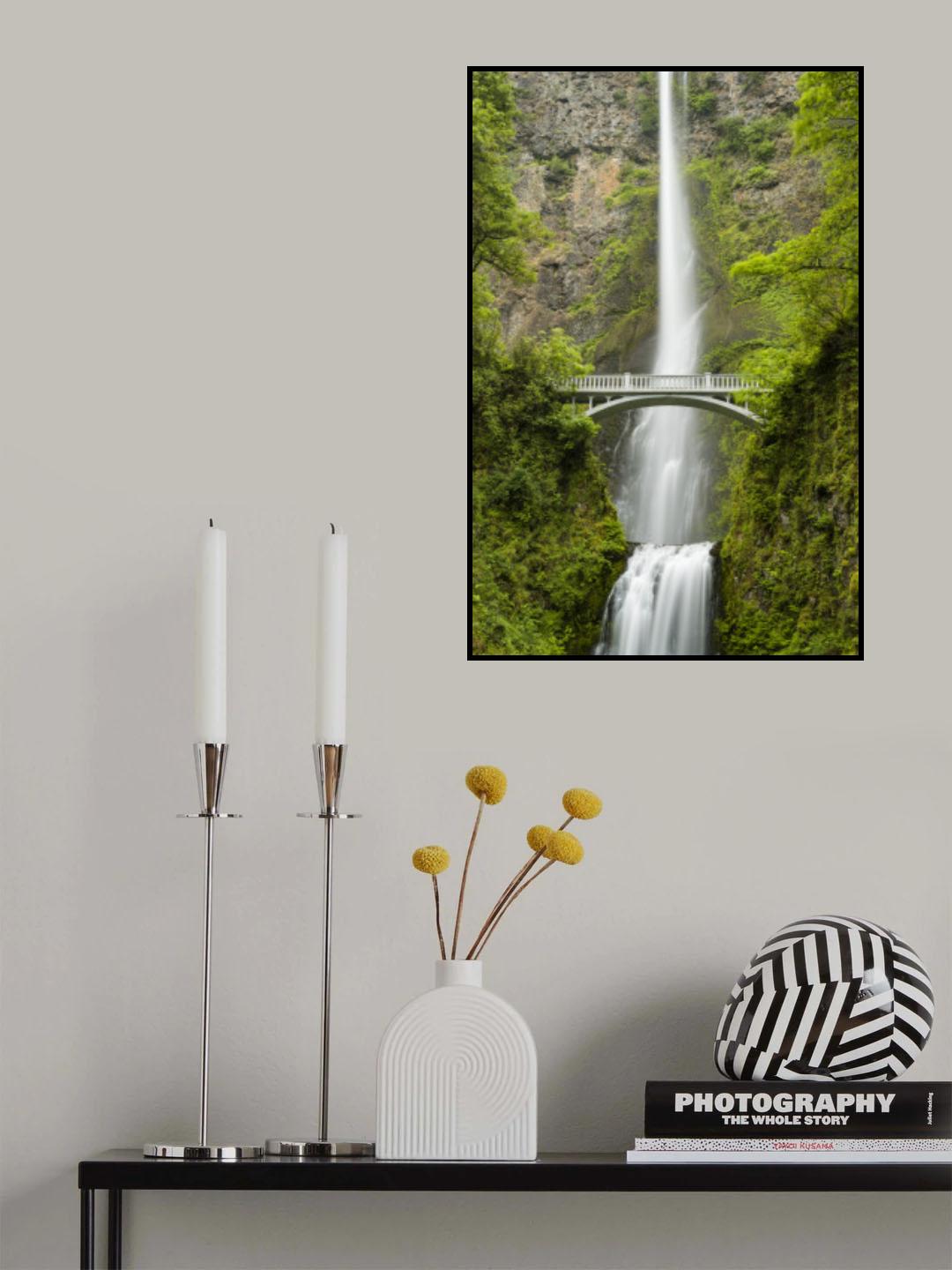 Soft Tail Poster och Canvastavla